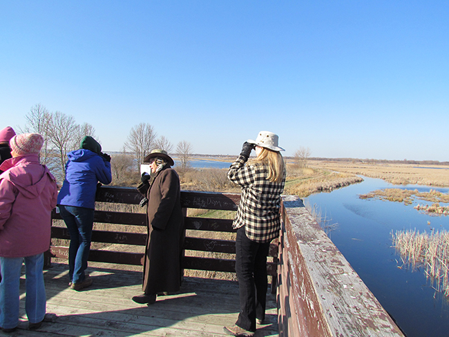 Adults touring Nayanquing Point State Wildlife Area