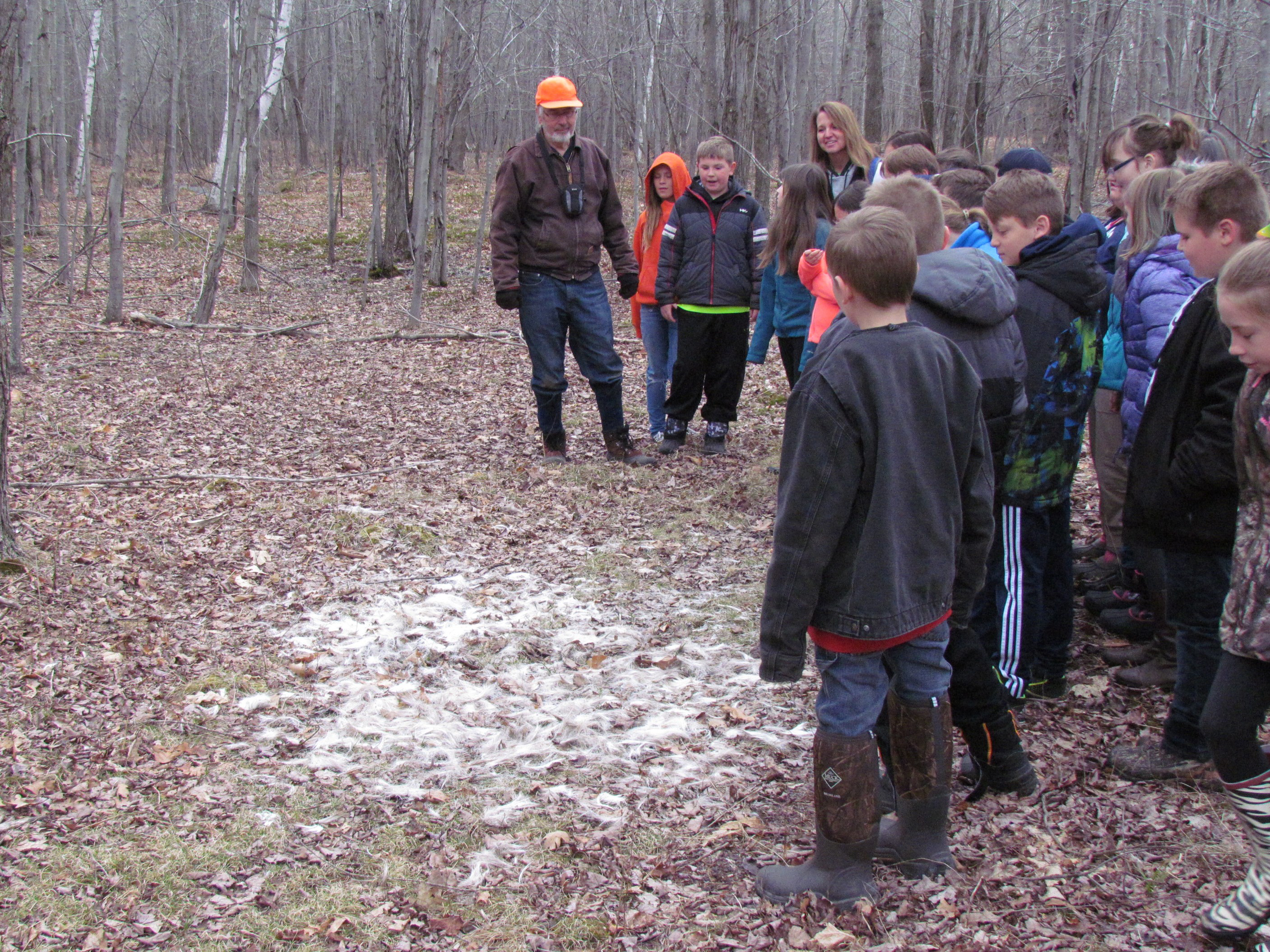 Linwood 4th graders viewing remains of deer in the woods