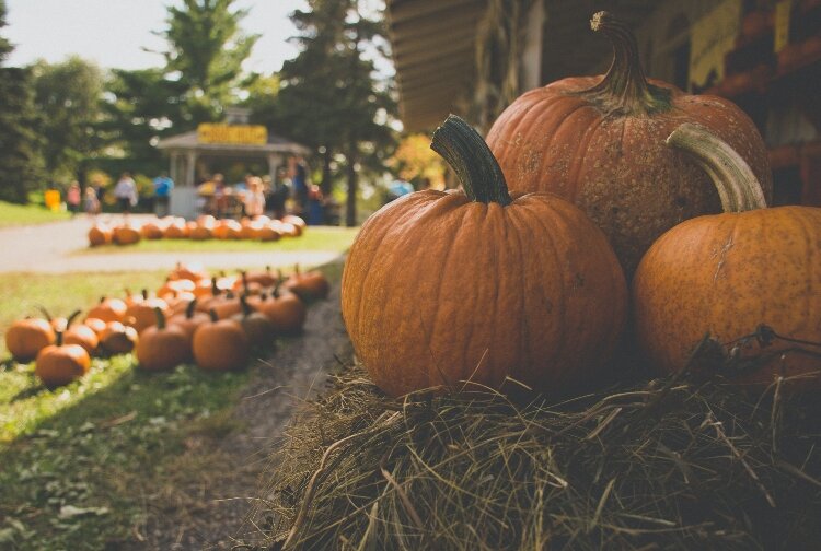 From football games to haunted houses to corn mazes, the Great Lakes Bay Region shines in the fall.