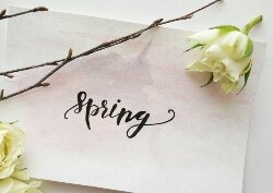 Spring Break list image