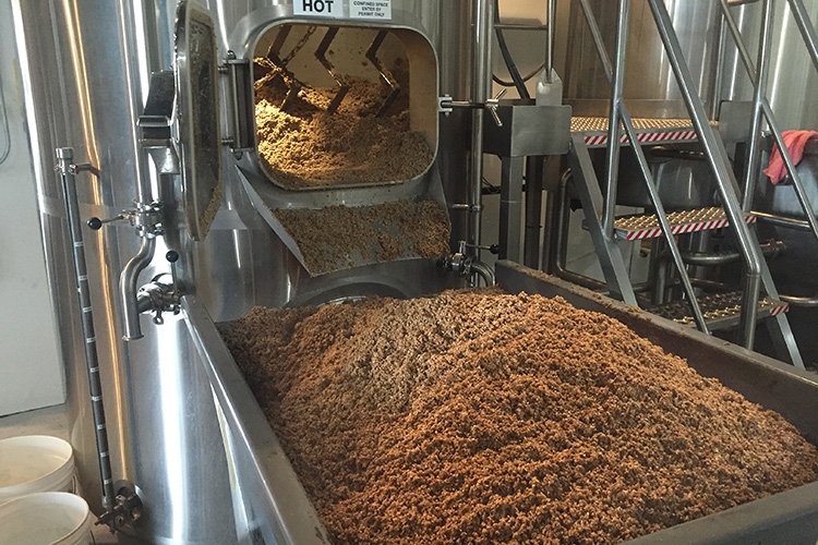 Grains at Ellison Brewing