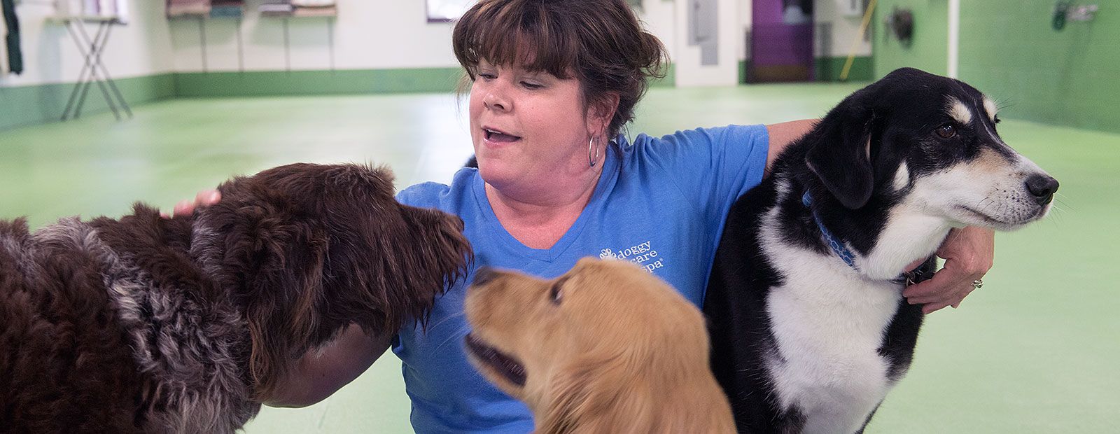 Janice Milligan at Doggy Daycare & Spa Lansing - Photo Dave Trumpie