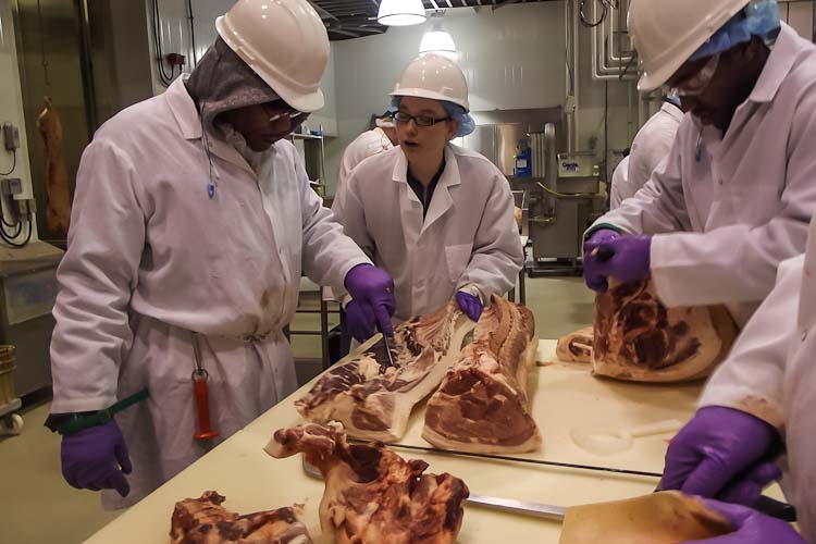 A lesson in the meat cutting and processing program