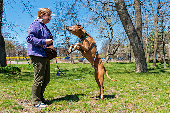 Linda Diane Feldt and Nala at the location of the rejected dog park in West Park 