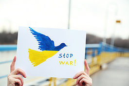Ukraine Relief Benefit Ann Arbor organizers purchased this image from MiniMoms Etsy shop, a collaborative of moms in Dnipro, Ukraine, trying to get their message across.