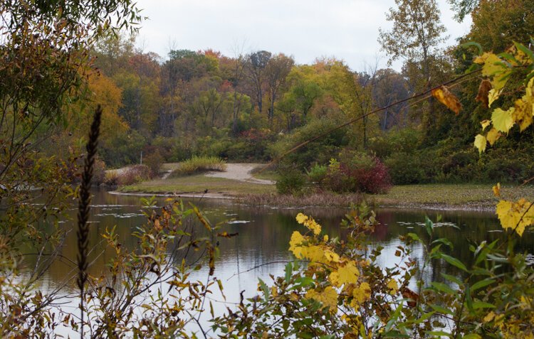A trail wraps along the edge of the water at Deerfield Nature Park.