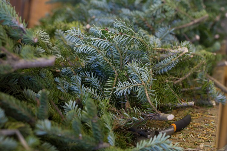 Excess branches from the trees get put to good use at Vander Sys Tree Farm Nursery where they are adapted to make other items such as wreaths, grave blankets, and garland.