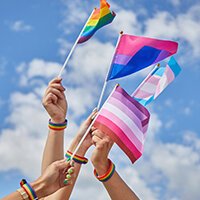 LGBTQ+ flags, pride, stock