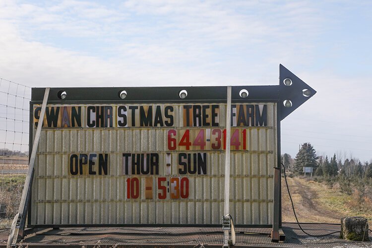 Swan's Christmas Tree Farm is located at 6250 W. River Rd. in Weidman, Michigan.