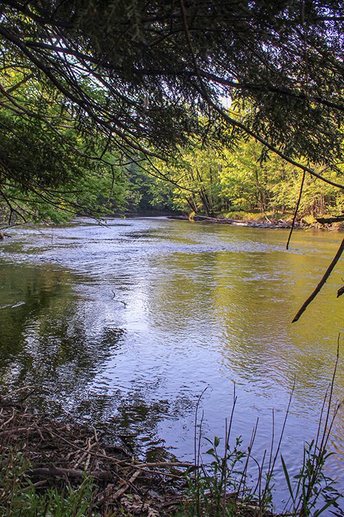 Szok Riverbend Preserve is located at 10200 E. River Rd. in Mt. Pleasant, Michigan. 