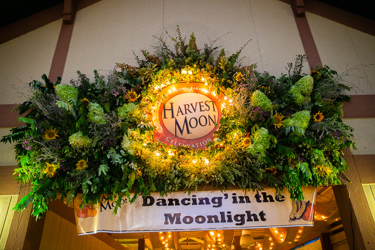 Farmington Harvest Moon Celebration. Photo by David Lewinski
