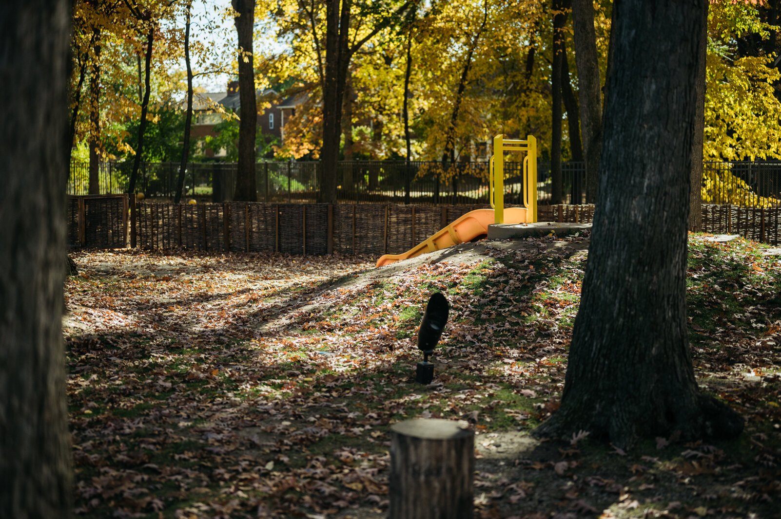 "The grove," is the center's biggest playground, situated within the surrounding neighborhood, where 3 to 4-year-olds play. Each classroom has it's own access to the nature park. 
