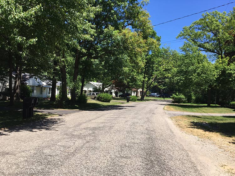 The author's neighborhood in Southfield. Photo by Maureen McDonald.