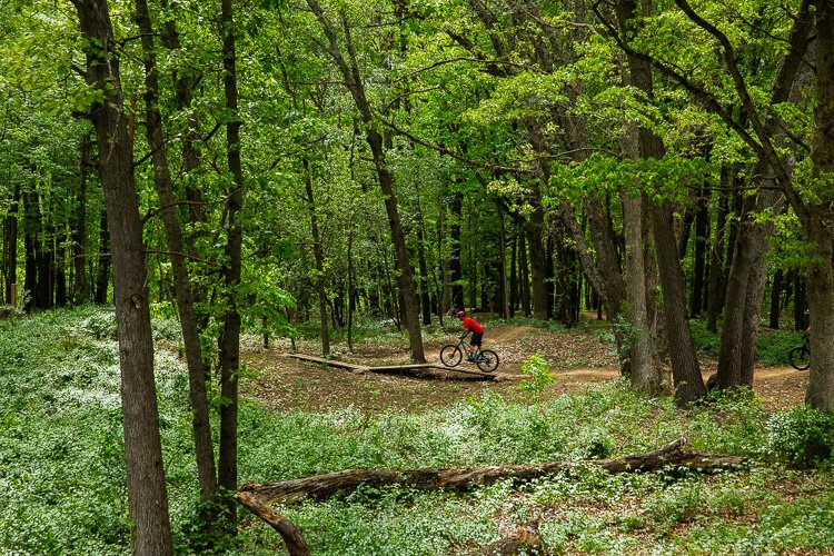 A rider bolts around the Shelden Trails at Stony Creek.