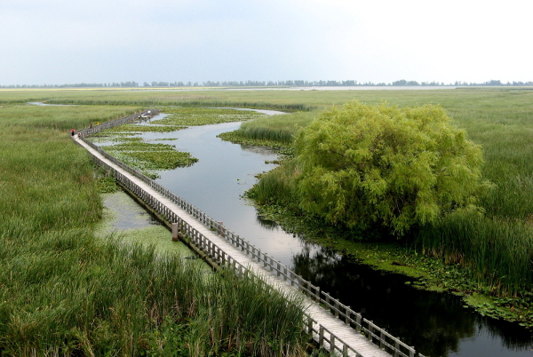 Point Pelee Marsh by Andrea from Leamington, Ontario , Canada - CC BY