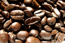 Coffee beans thumb