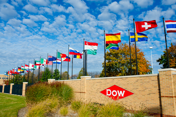 Dow's diversity programs foster an inclusive environment.