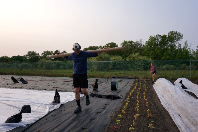 Phoenix Community Farm is situated on about one-acre of land beside Windover High School.