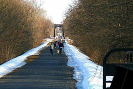 A winter's walk on the Pere Marquette Rail Triail.