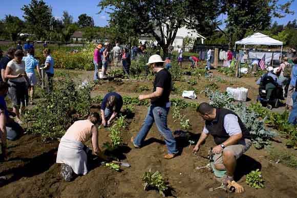 Public Food Forest planting