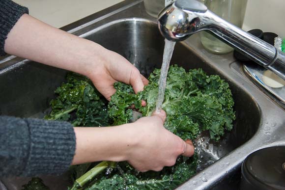 Steena washes Kale