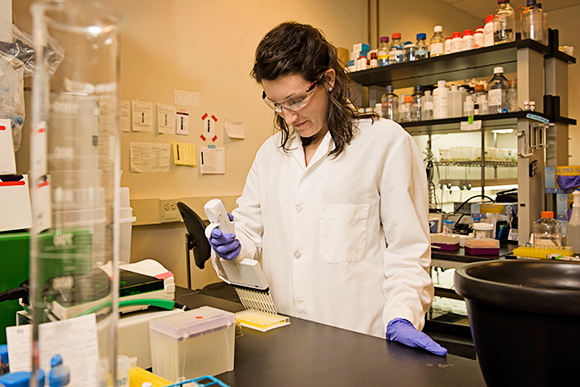 Alexandra Haase, Research Associate, prepares an ELISA assay to detect and quantify certain proteins.