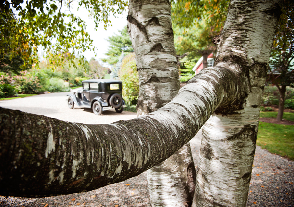 The gorgeous flora at Southern Exposure is dotted with great details like an old car and fantastic sculptures.