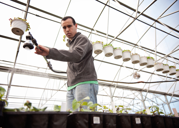 Sprout Urban Farm’s employee Devon Gibson waters plants at their greenhouse in Battle Creek, Michigan.