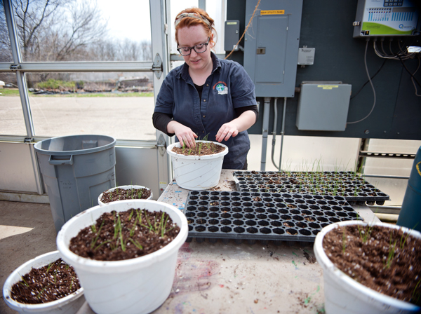 Sprout Urban Farm’s employee Rebecca Spicer plants vegetables at the greenhouse in Battle Creek, Michigan. 