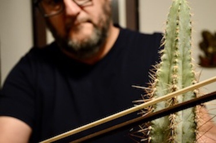 Brad Miller, a local musician with the band Wowza, plucks, strums, and bows his cactus.
