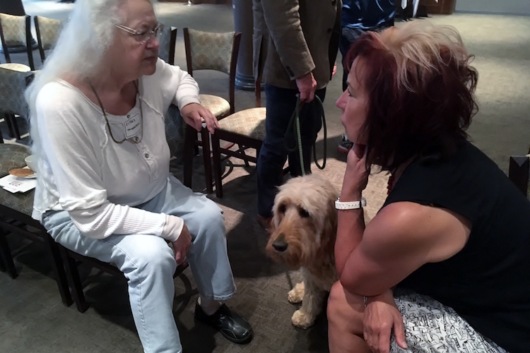 A furry guest attends the Kalamazoo Humane Society announcement