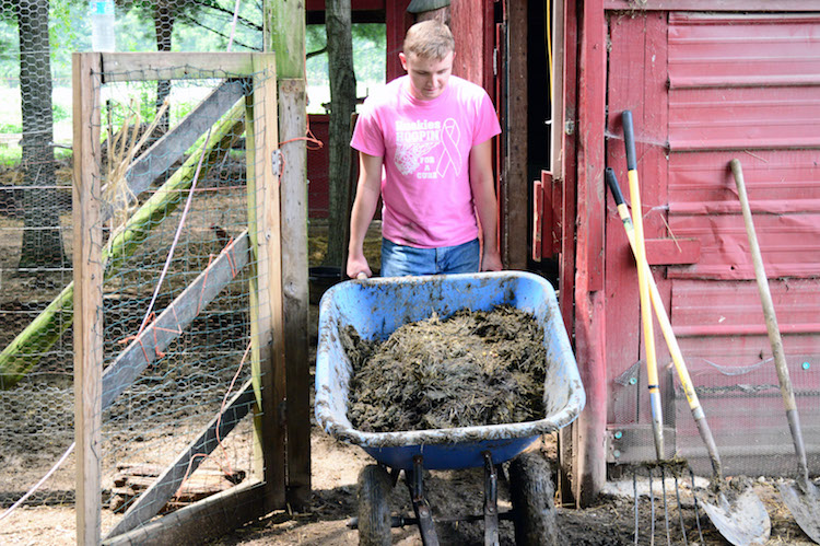 Not all AACORN jobs are fun. Bassett takes a load of chicken manure to the compost pile.