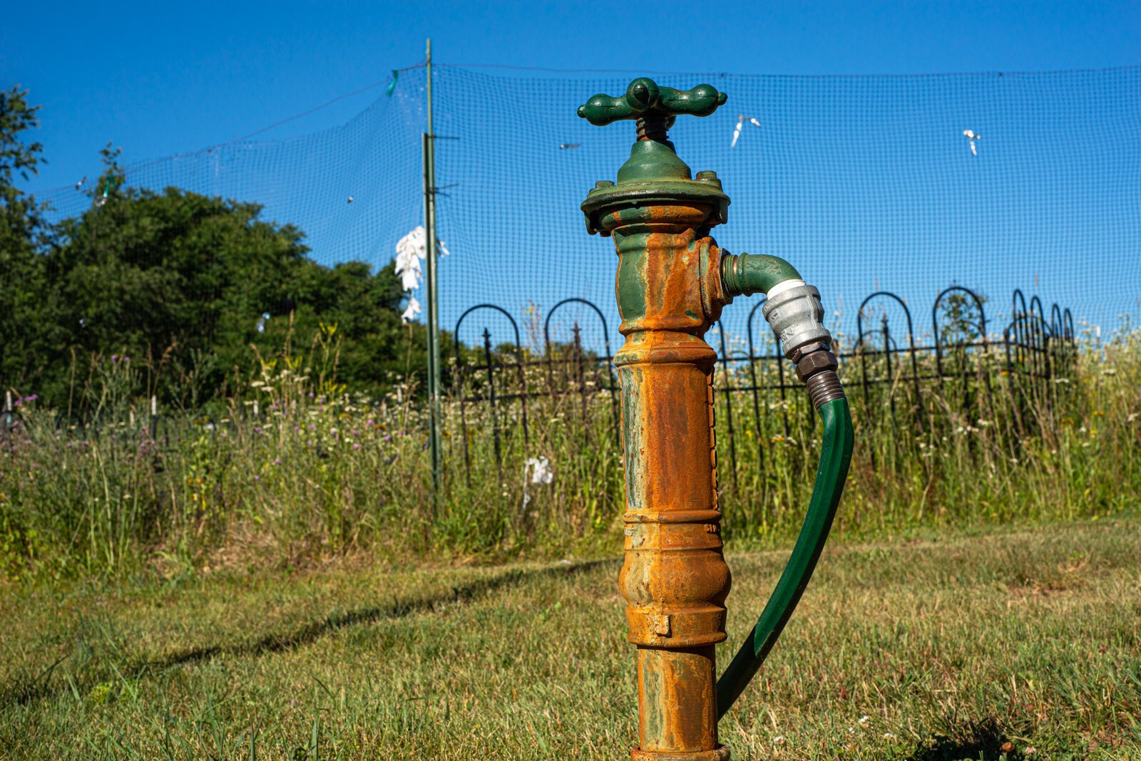 A water spigot on the property.
