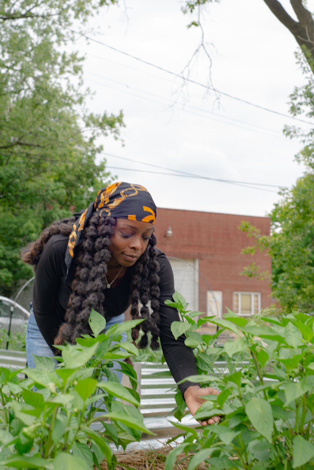 Mary Crosby, lead gardener, tends peppers at the community garden.