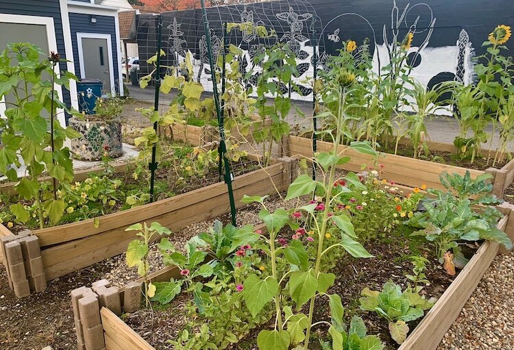 The Edison Neighborhood Association's garden hub is behind the association offices. The hub includes three 4-by-10 garden boxes and another 6-by-6 garden box.
