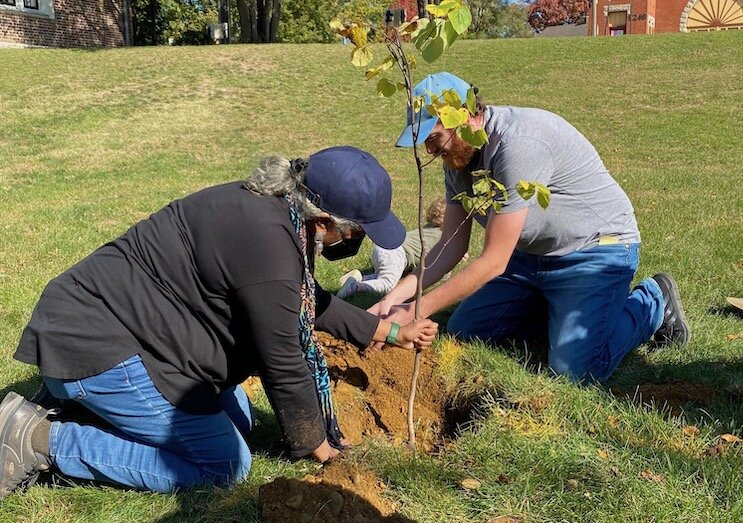 People planting a sapling in Edison.