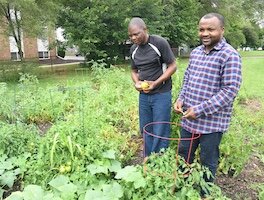 On the Ground Battle Creek Congolese Community