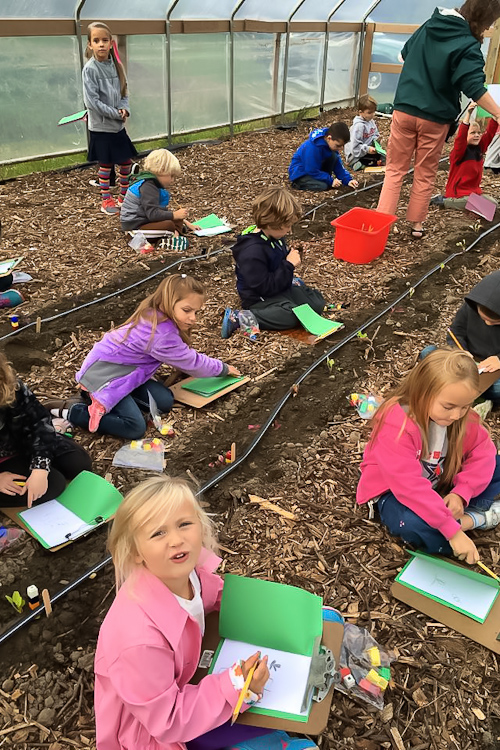 Students at work in the garden