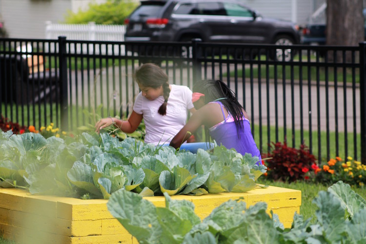 Junior Girl camp participants learn gardening