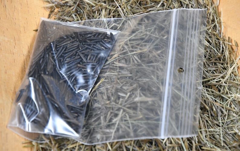 An example of finished wild rice acquired from the White Earth Tribe in Northwestern Minnesota. White Earth has sufficient quantities of wild rice for it to be marketed via E- Commerce.