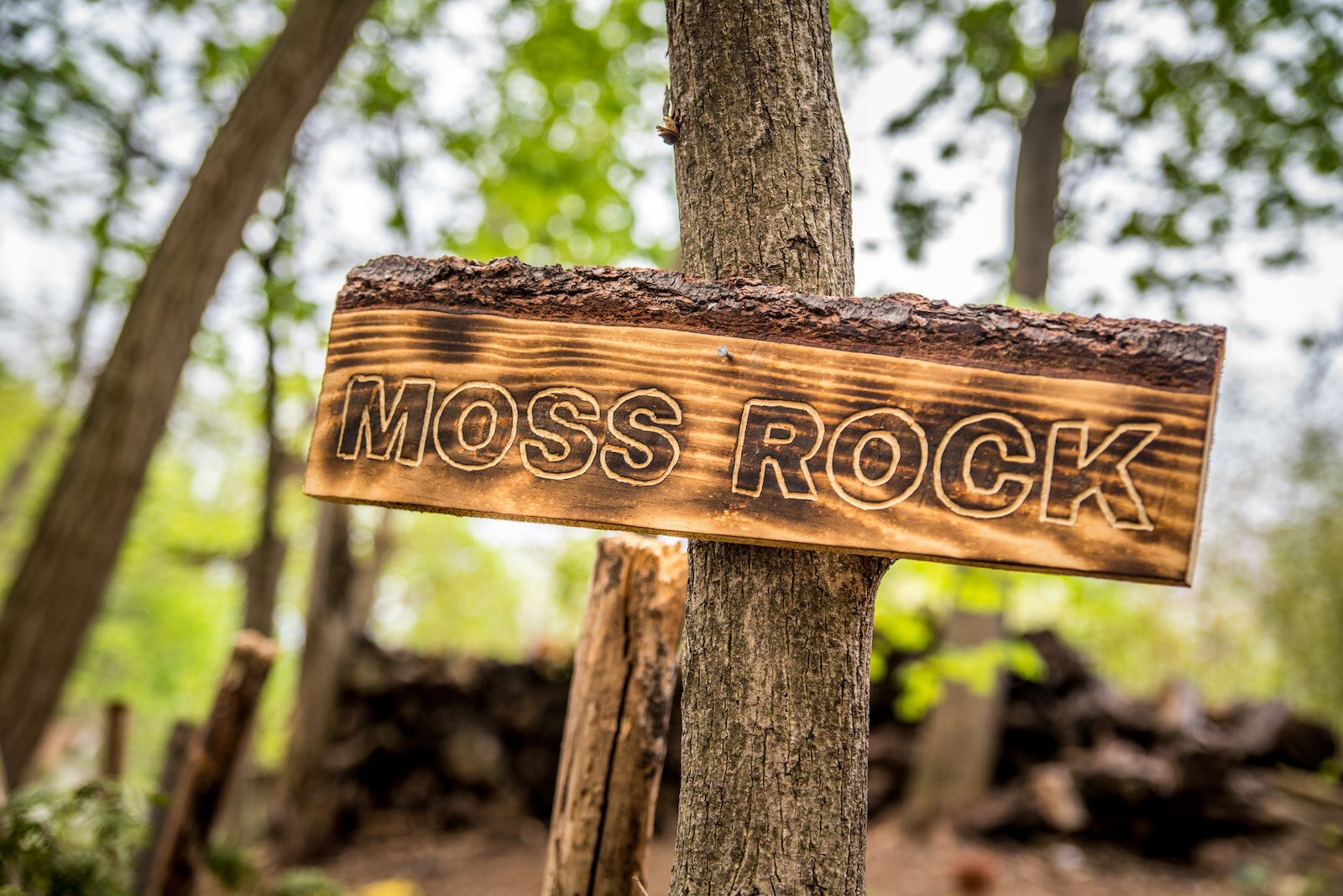 The children's new play area, Moss Rock.