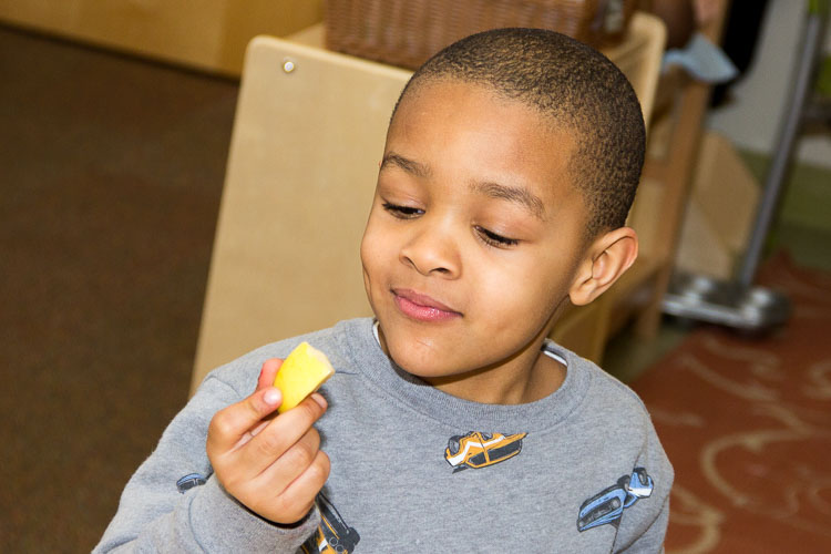 Studying an apple slice at the YWCA. Photo by Susan Andress