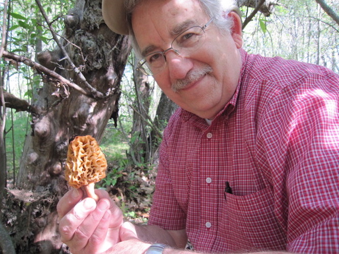 Vic Eichler with a morel mushroom. Photo courtesy Vic Eichler