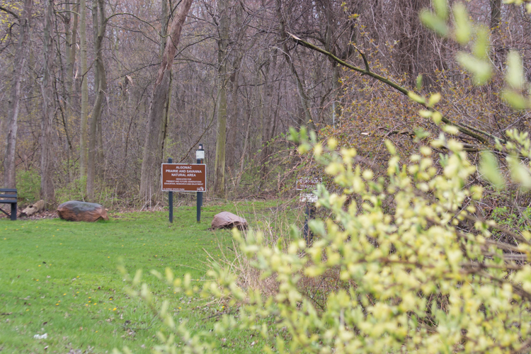 Spring has blossomed across the county's nature preserves.