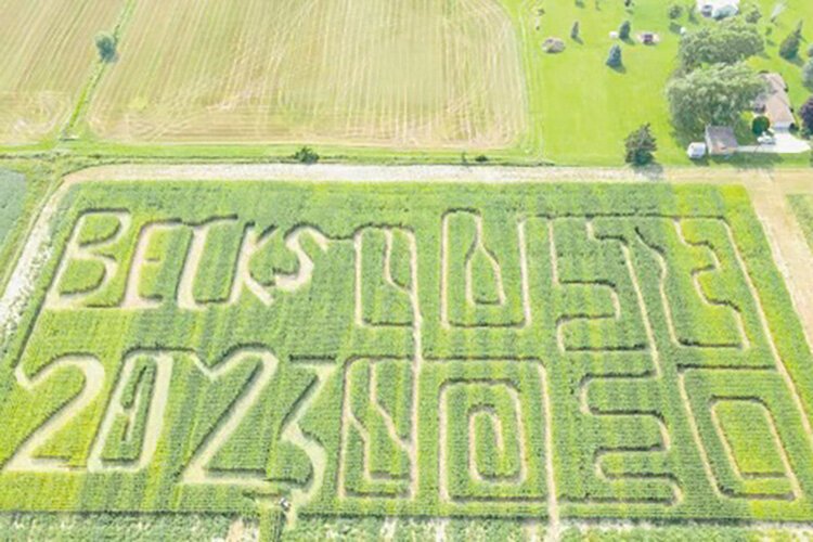 Becks Farm and Produce's annual corn maze.