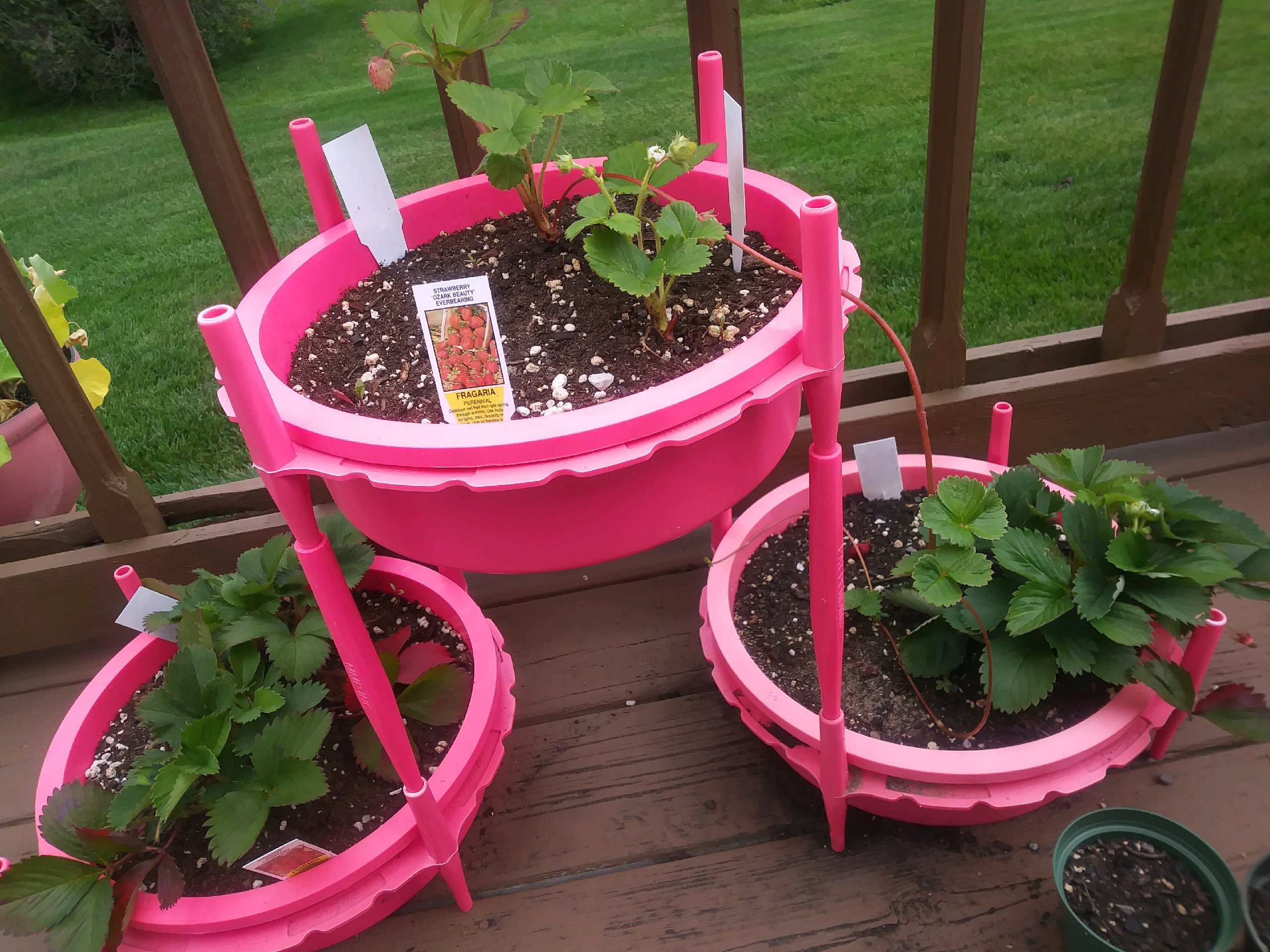 Gro-Hoops work together to create unique plantings