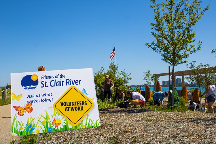 Friends of the St. Clair River held the dedication ceremony and giitigan planting at the Blue Water River Walk on Tuesday, June 21, 2022.