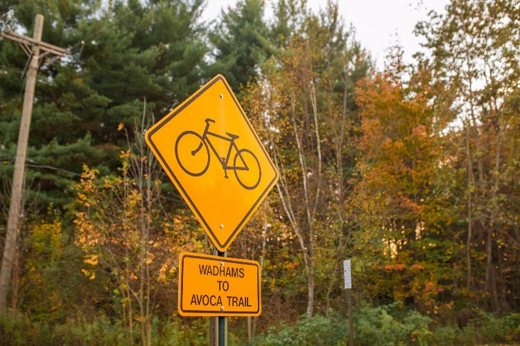 Catch the changing leaves on a leisurely walk or ride along the Wadhams to Avoca Trail