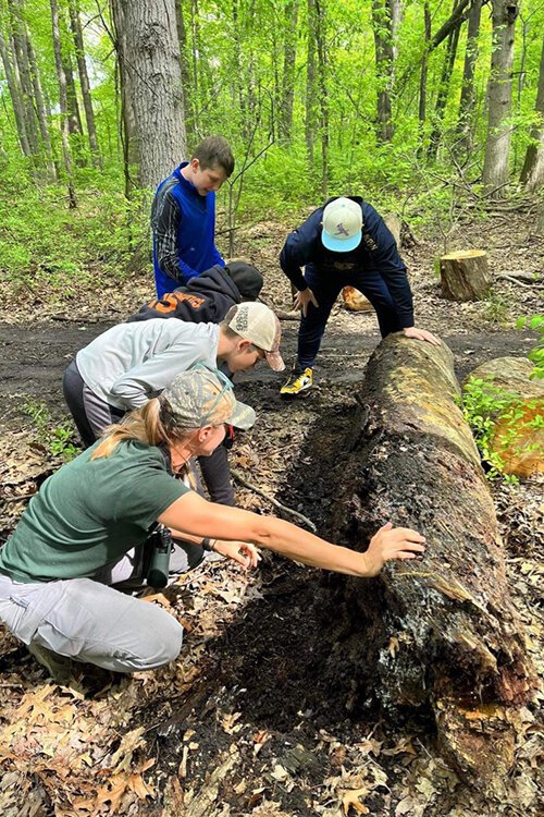 Kaitlyn Barnes, biologist with the Michigan DNR, turns over a log so students can examine what’s living underneath.