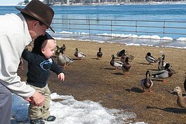 A young birdwatcher meets some ducks in St. Clair County.